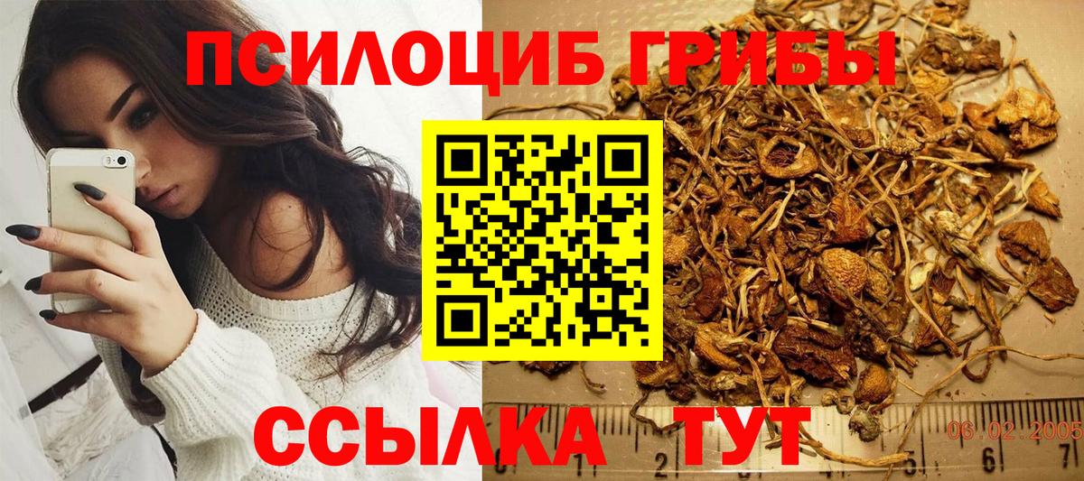 Псилоцибиновые грибы мухоморы Отрадное